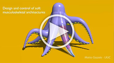 Design and Control of Soft Musculoskeletal Architectures